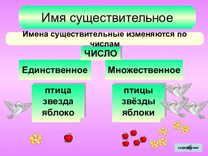 Единственное Множественное Имя существительное ЧИСЛО Имена существительные изменяются по числам птица