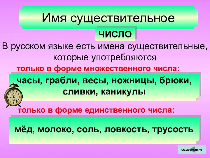 Имя существительное ЧИСЛО В русском языке есть имена существительные, которые употребляются