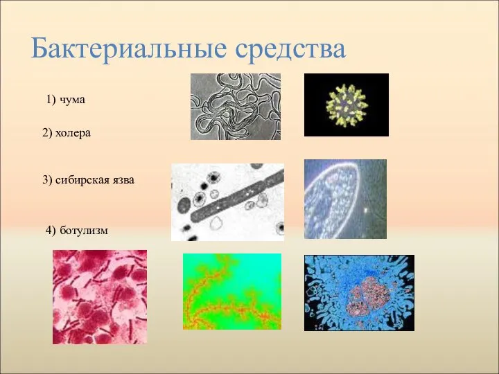 Бактериальные средства 1) чума 2) холера 3) сибирская язва 4) ботулизм