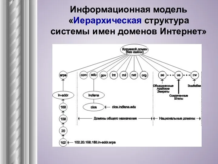 Информационная модель «Иерархическая структура системы имен доменов Интернет»