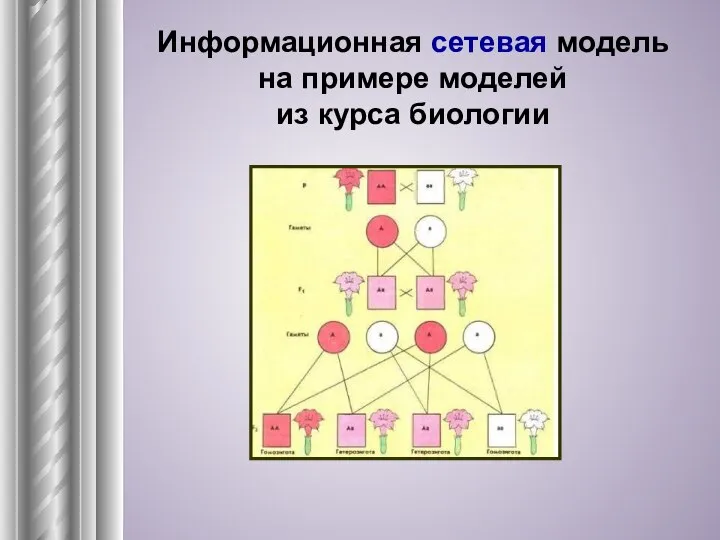 Информационная сетевая модель на примере моделей из курса биологии