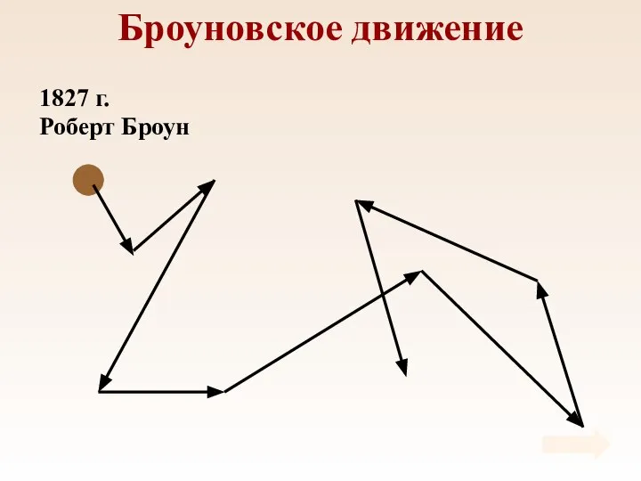 Броуновское движение 1827 г. Роберт Броун