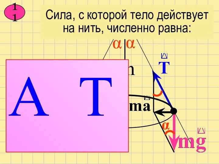 11 α В mg С ma D ma+mg А T h