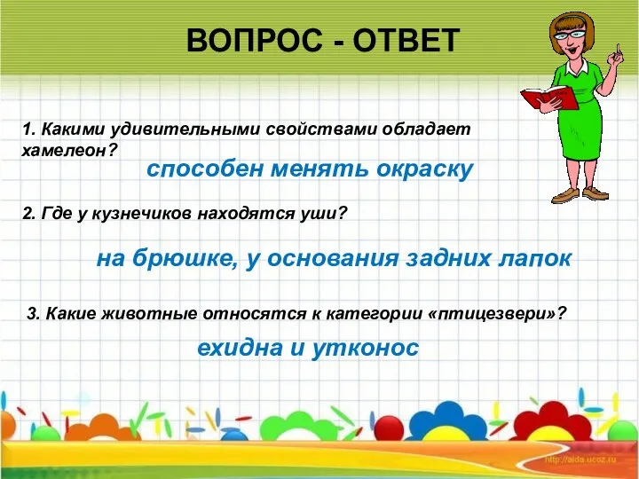 ВОПРОС - ОТВЕТ 2. Где у кузнечиков находятся уши? 1. Какими