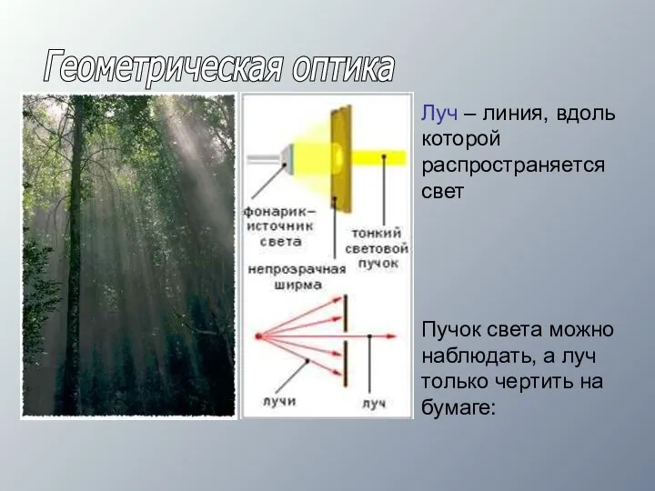 Геометрическая оптика Луч – линия, вдоль которой распространяется свет Пучок света