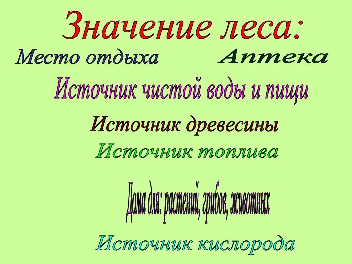 Значение леса: Место отдыха Аптека Источник чистой воды и пищи Источник