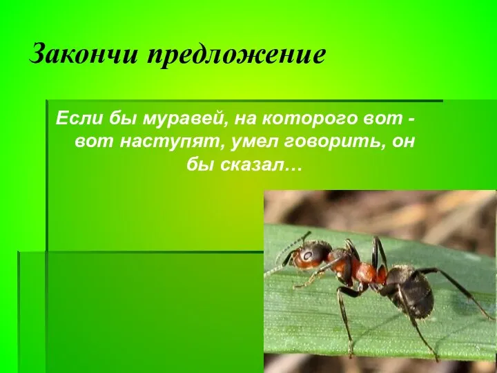 Закончи предложение Если бы муравей, на которого вот -вот наступят, умел говорить, он бы сказал…