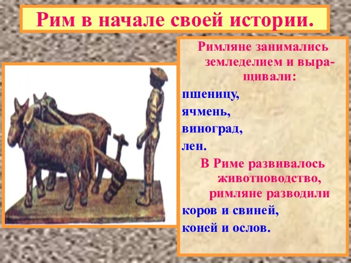 Рим в начале своей истории. Римляне занимались земледелием и выра-щивали: пшеницу,