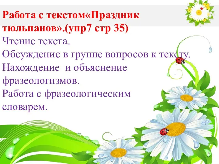 Работа с текстом«Праздник тюльпанов».(упр7 стр 35) Чтение текста. Обсуждение в группе