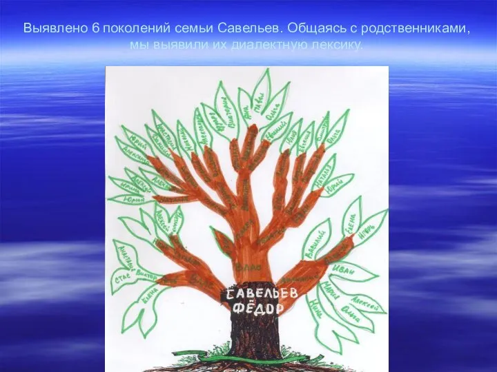 Выявлено 6 поколений семьи Савельев. Общаясь с родственниками, мы выявили их диалектную лексику.