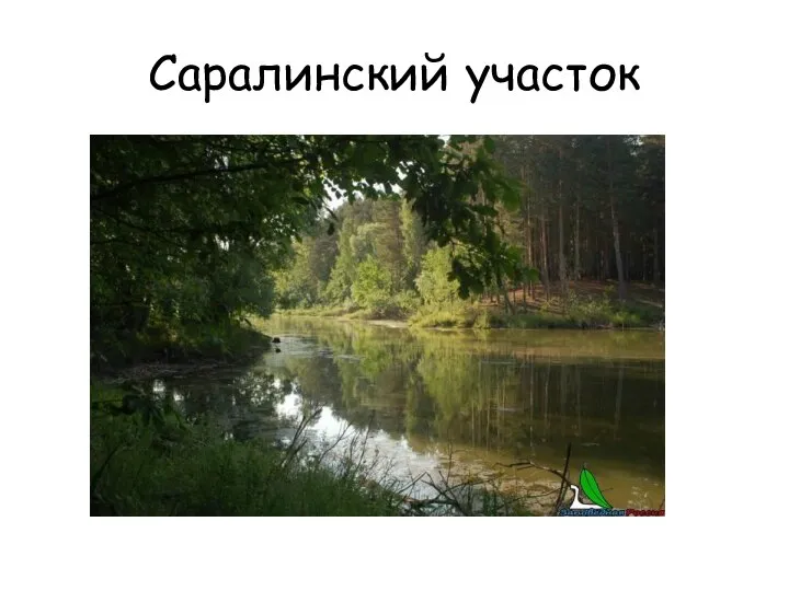 Саралинский участок