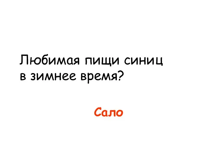 Любимая пищи синиц в зимнее время? Сало