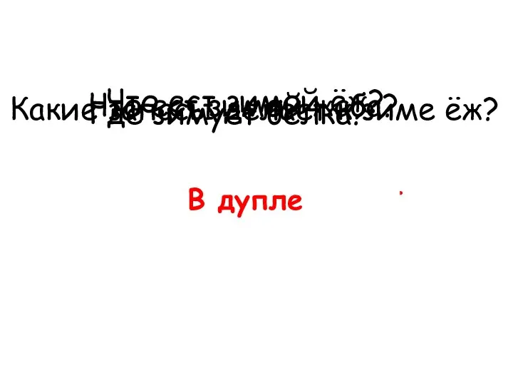 Что ест зимой ёж? Ничего Что ест зимой жаба? Спит Какие