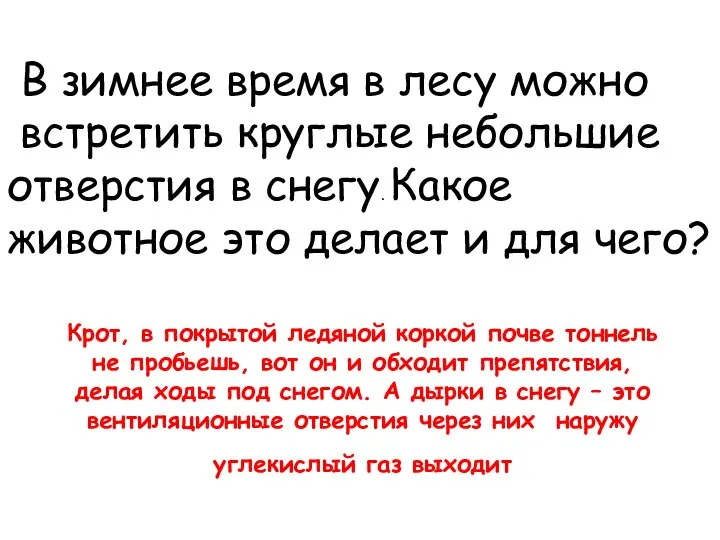 В зимнее время в лесу можно встретить круглые небольшие отверстия в