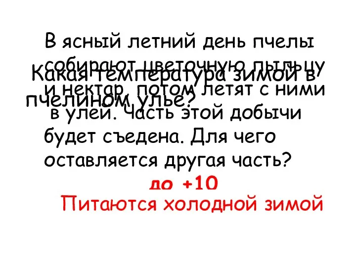 Какая температура зимой в пчелином улье? до +10 В ясный летний