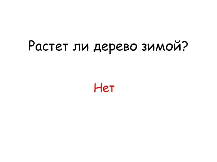 Растет ли дерево зимой? Нет