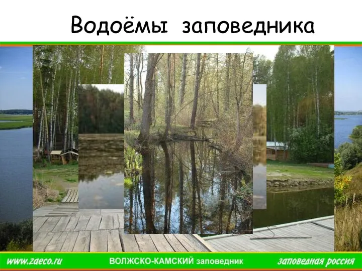 Водоёмы заповедника