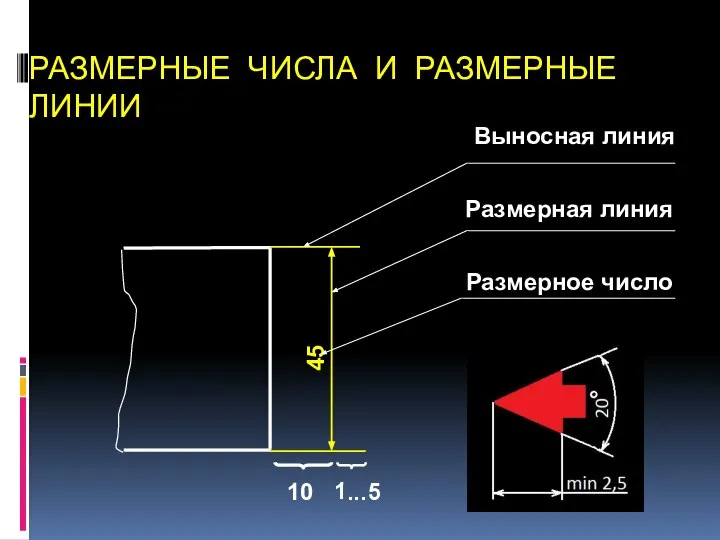 Выносная линия 10 Размерная линия 1...5 45 Размерное число РАЗМЕРНЫЕ ЧИСЛА И РАЗМЕРНЫЕ ЛИНИИ