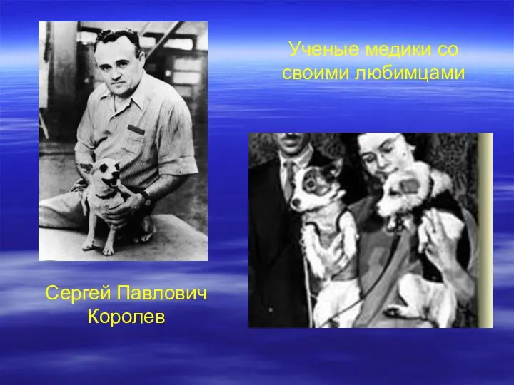 Сергей Павлович Королев Ученые медики со своими любимцами