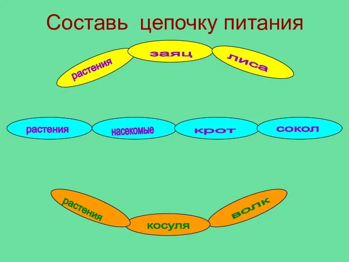 Составь цепочку питания