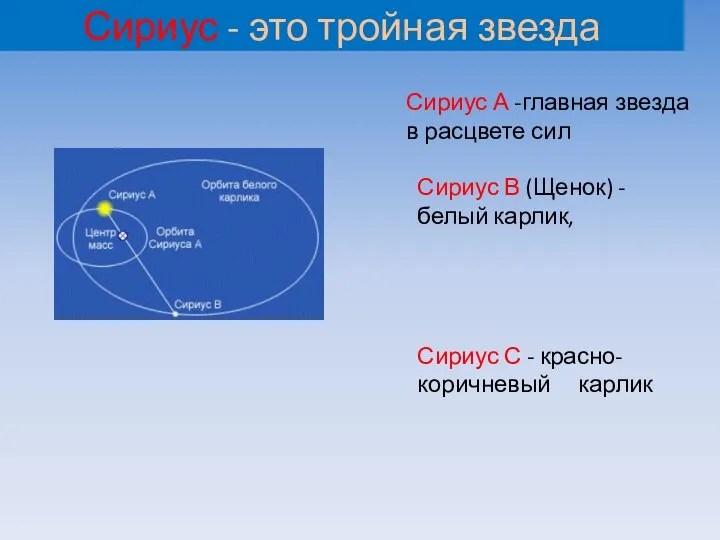 Сириус - это тройная звезда Сириус А -главная звезда в расцвете