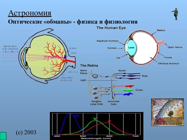 (с) 2003 mez@karelia.ru Астрономия Оптические «обманы» - физика и физиология