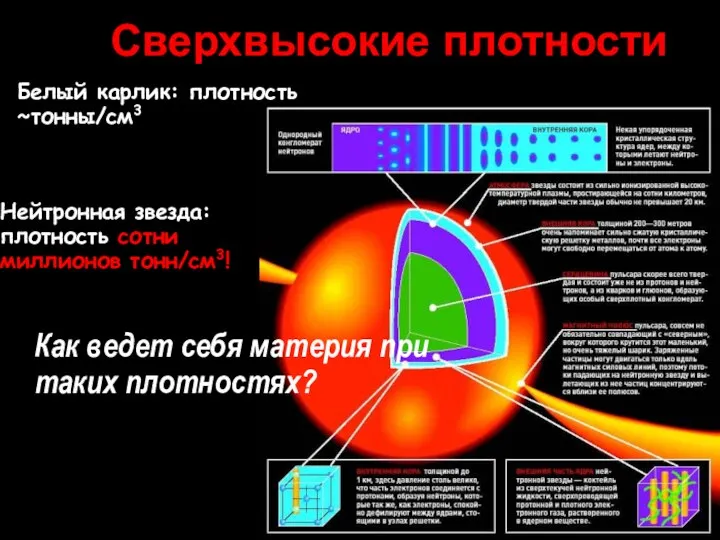 Белый карлик: плотность ~тонны/см3 Нейтронная звезда: плотность сотни миллионов тонн/см3! Сверхвысокие