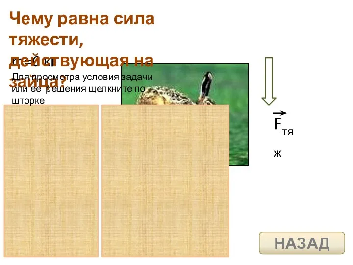 m=6 кг Чему равна сила тяжести, действующая на зайца? Для просмотра