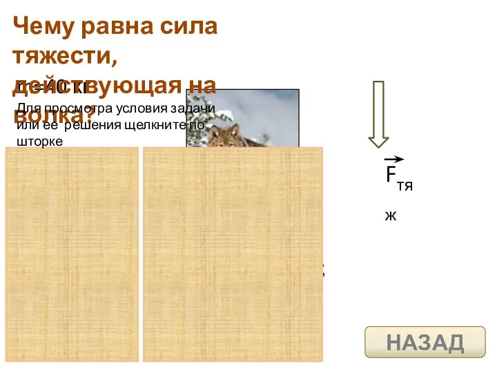 m=40 кг Чему равна сила тяжести, действующая на волка? Для просмотра