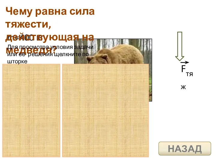 m=400 кг Чему равна сила тяжести, действующая на медведя? Для просмотра