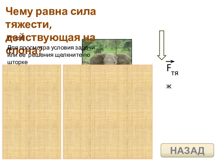 m=4 т Чему равна сила тяжести, действующая на слона? Для просмотра