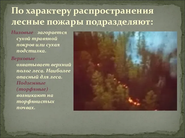 По характеру распространения лесные пожары подразделяют: Низовые - загорается сухой травяной