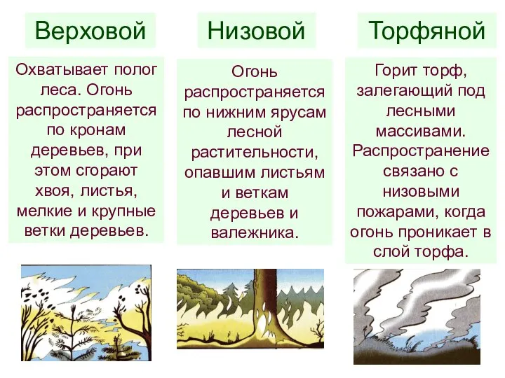 Верховой Охватывает полог леса. Огонь распространяется по кронам деревьев, при этом