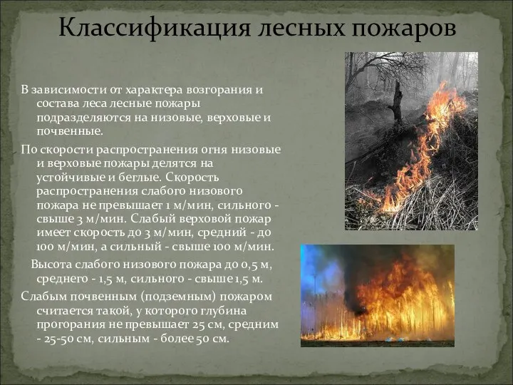 В зависимости от характера возгорания и состава леса лесные пожары подразделяются
