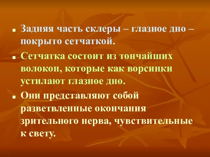 Задняя часть склеры – глазное дно – покрыто сетчаткой. Сетчатка состоит