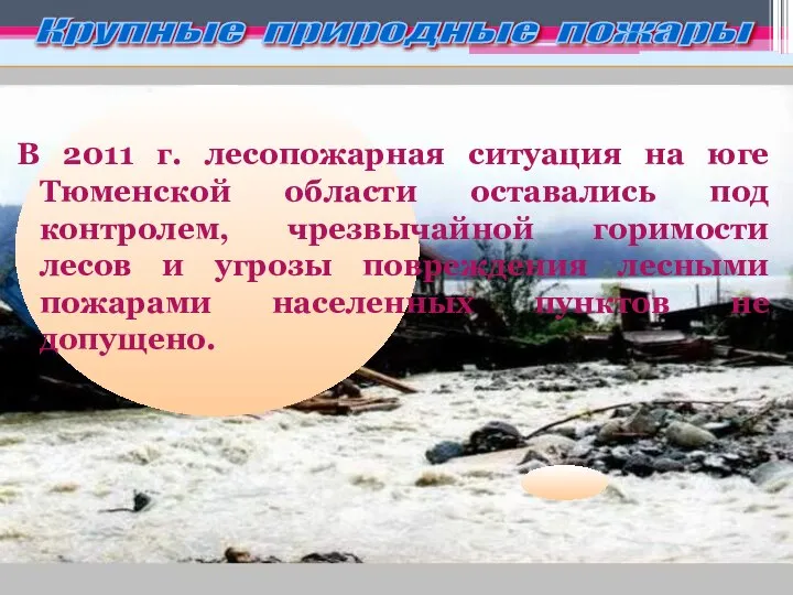 Крупные природные пожары В 2011 г. лесопожарная ситуация на юге Тюменской