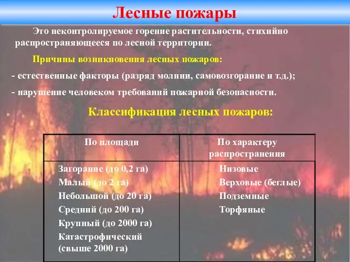 Лесные пожары Это неконтролируемое горение растительности, стихийно распространяющееся по лесной территории.