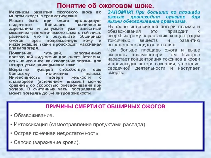 Понятие об ожоговом шоке. Механизм развития ожогового шока во многом сходен