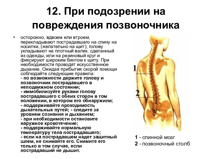 12. При подозрении на повреждения позвоночника осторожно, вдвоем или втроем, перекладывают