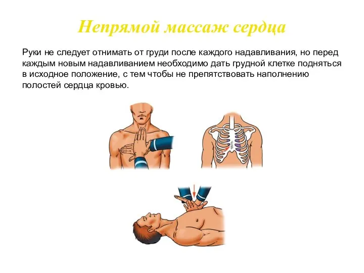 Руки не следует отнимать от груди после каждого надавливания, но перед