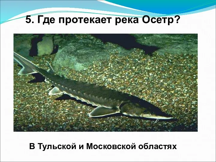 5. Где протекает река Осетр? В Тульской и Московской областях