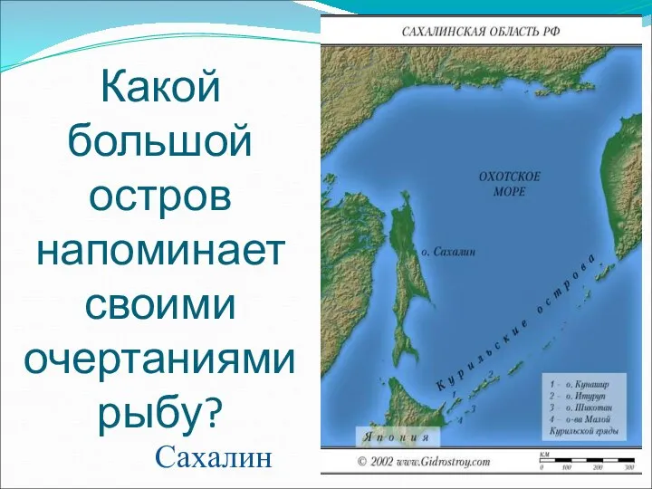 Какой большой остров напоминает своими очертаниями рыбу? Сахалин