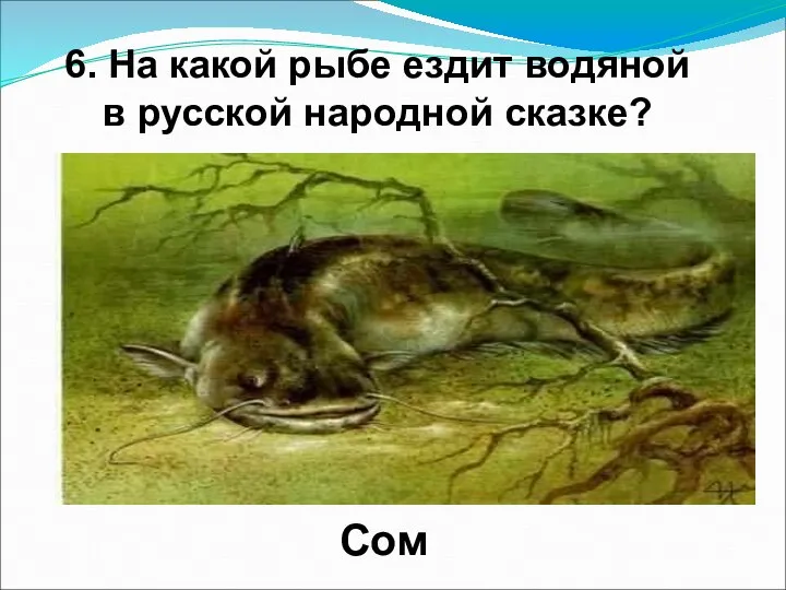 6. На какой рыбе ездит водяной в русской народной сказке? Сом