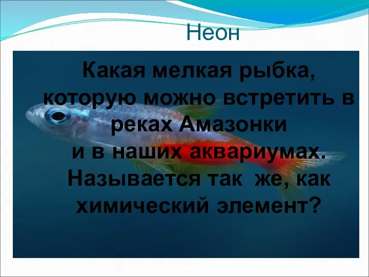 Неон Какая мелкая рыбка, которую можно встретить в реках Амазонки и