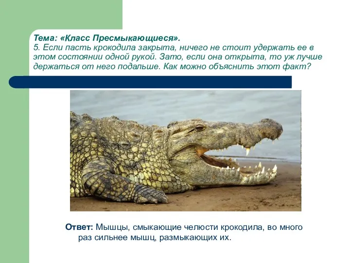 Тема: «Класс Пресмыкающиеся». 5. Если пасть крокодила закрыта, ничего не стоит