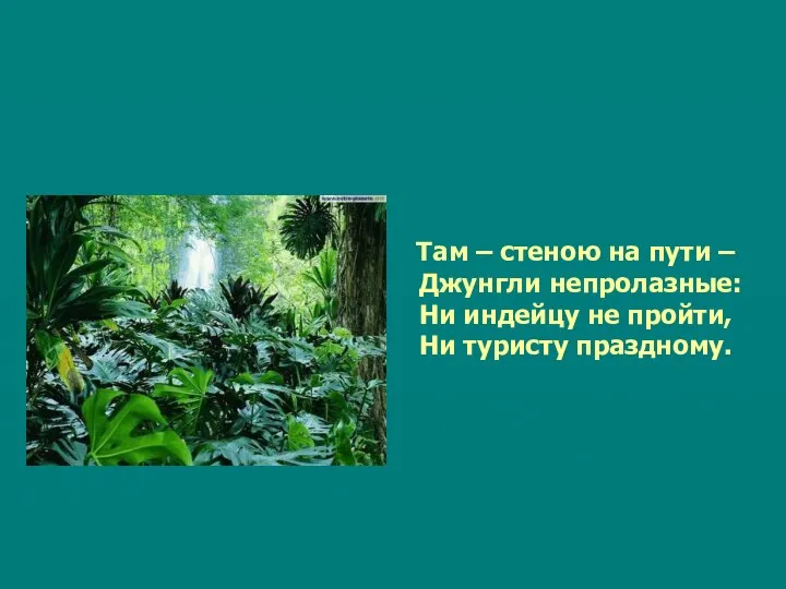 Там – стеною на пути – Джунгли непролазные: Ни индейцу не пройти, Ни туристу праздному.