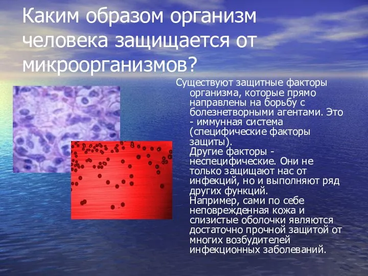 Каким образом организм человека защищается от микроорганизмов? Существуют защитные факторы организма,