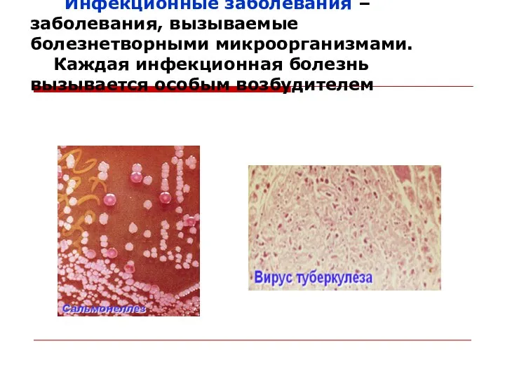 Инфекционные заболевания – заболевания, вызываемые болезнетворными микроорганизмами. Каждая инфекционная болезнь вызывается особым возбудителем