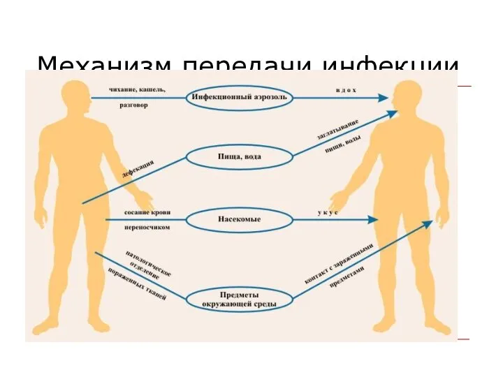 Механизм передачи инфекции