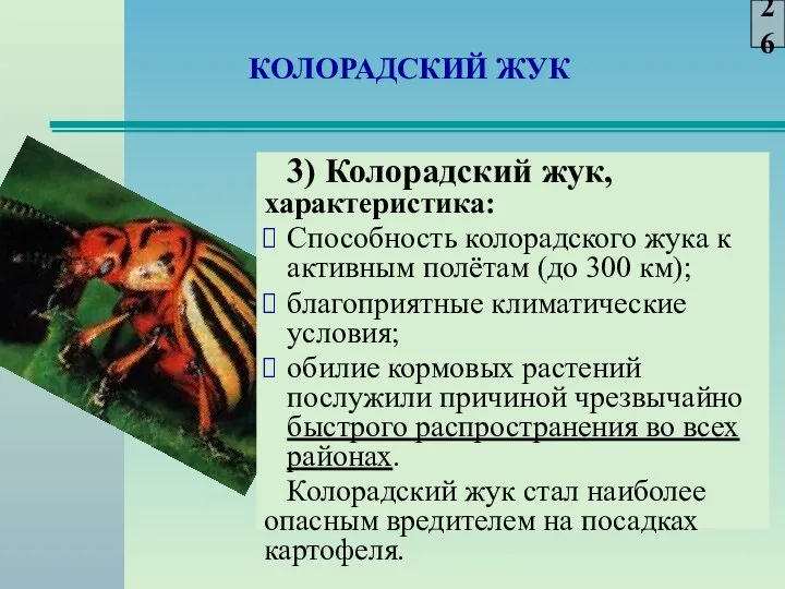 КОЛОРАДСКИЙ ЖУК 3) Колорадский жук, характеристика: Способность колорадского жука к активным